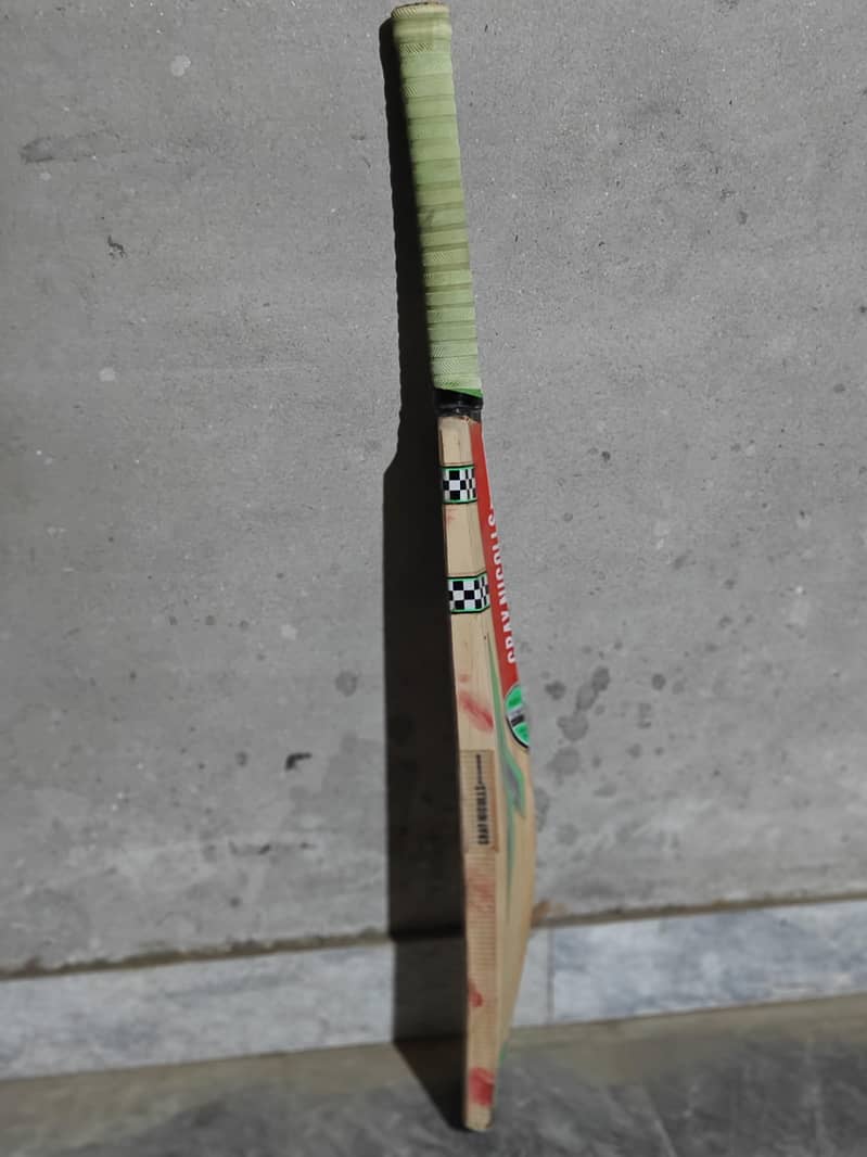 cricket Bat 1