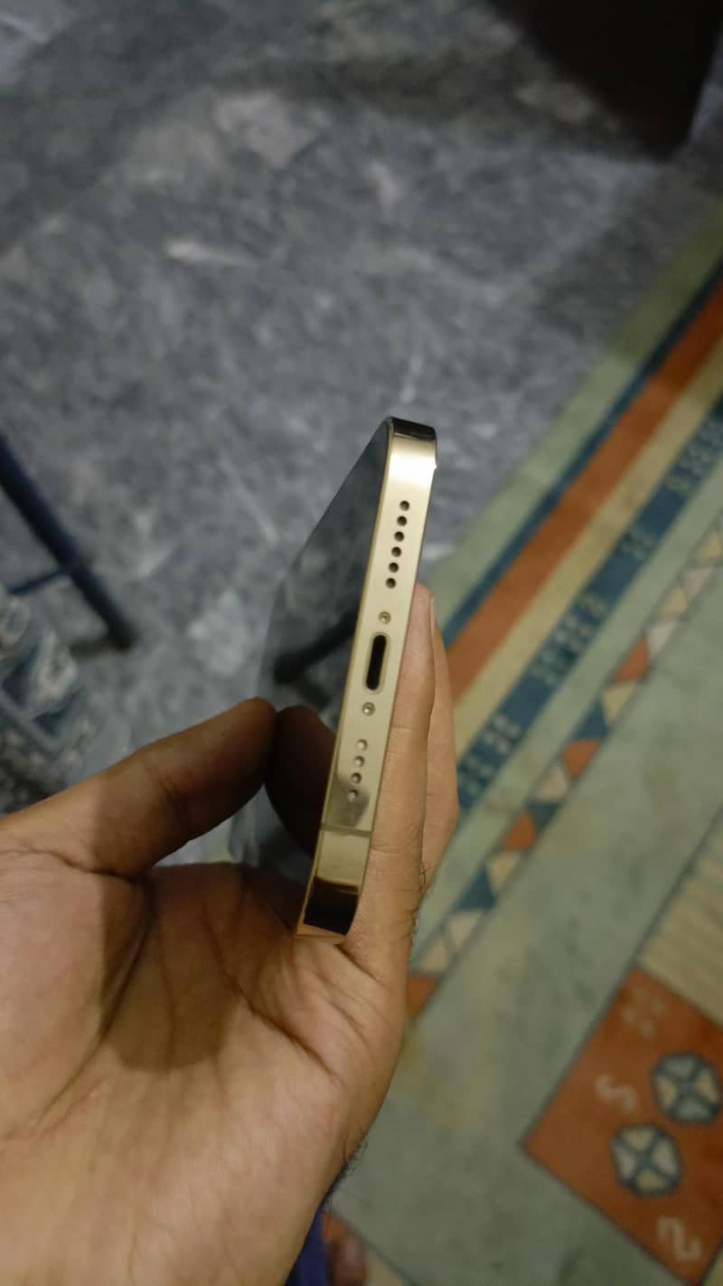 Apple iPhone 12 Pro Max 1