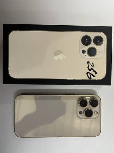Apple iPhone 13 Pro