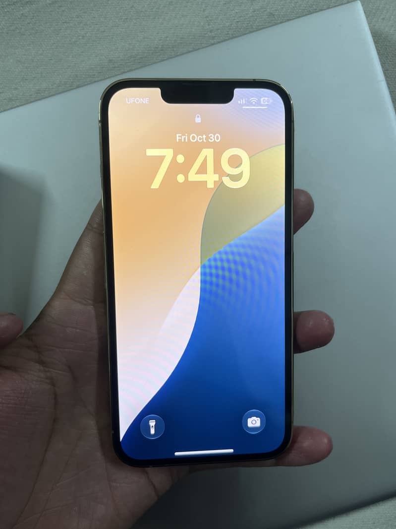 Apple iPhone 13 Pro 1