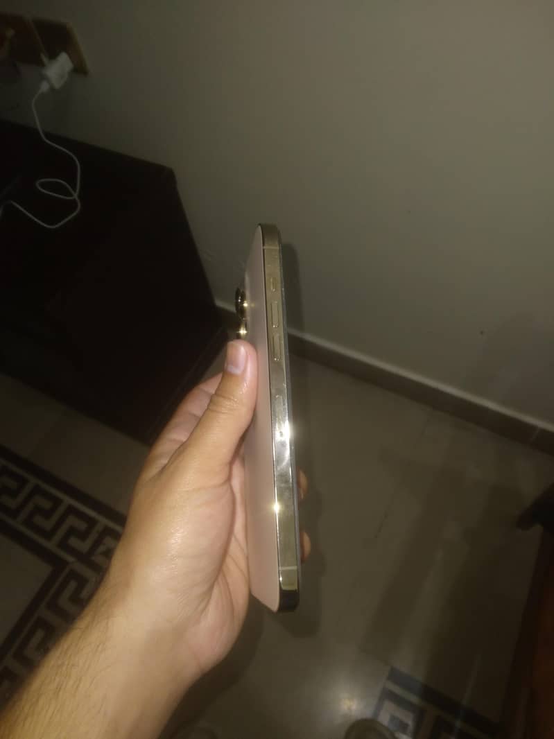 Apple iPhone 12 Pro Max 0