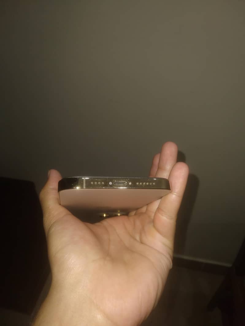 Apple iPhone 12 Pro Max 1