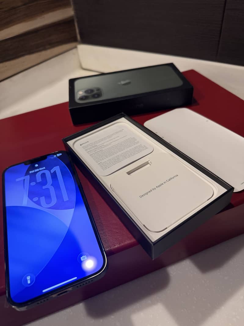 Apple iPhone 13 Pro Max 1