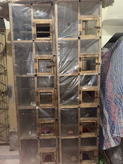 Finches & dove & cage
