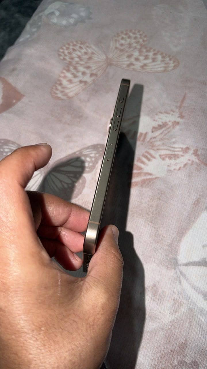 Apple iPhone 16 Pro Max 1