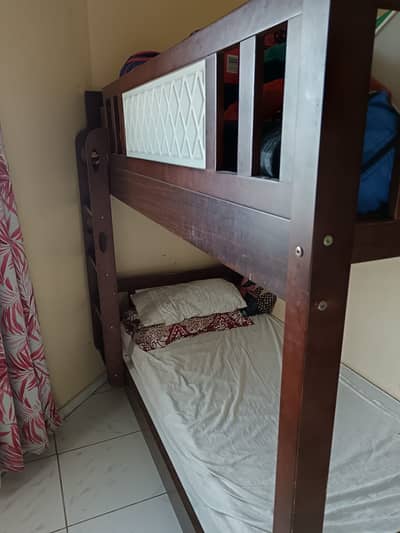 Bunk bed Dubai import
