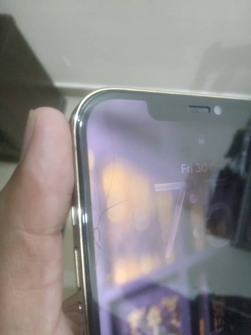 Apple iPhone 12 Pro Max 6