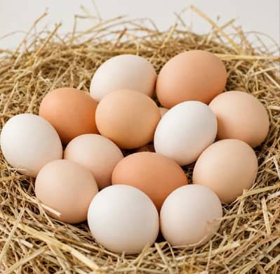 Pure Desi Egg