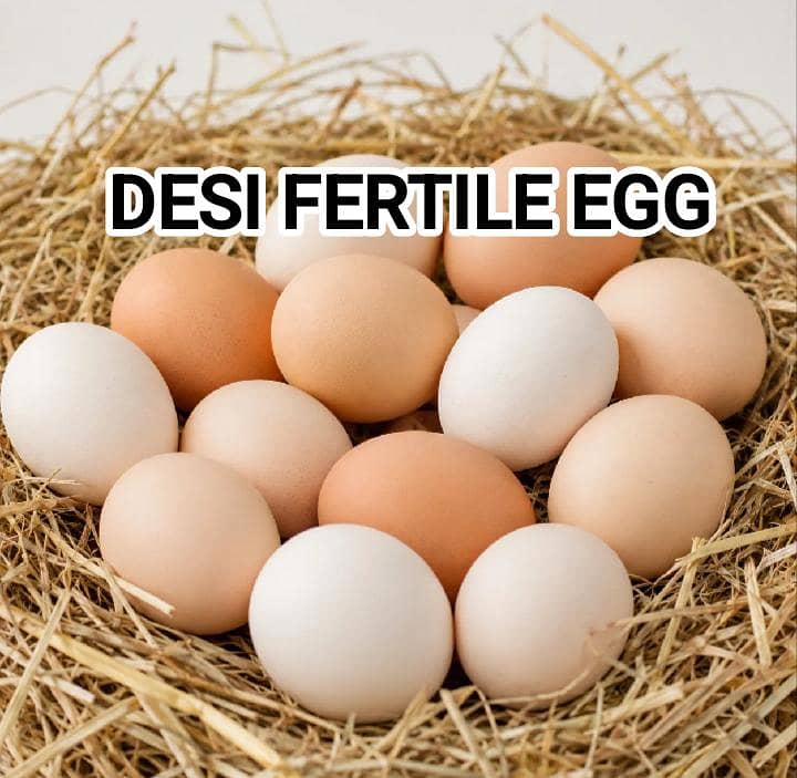 Pure Desi Egg 1