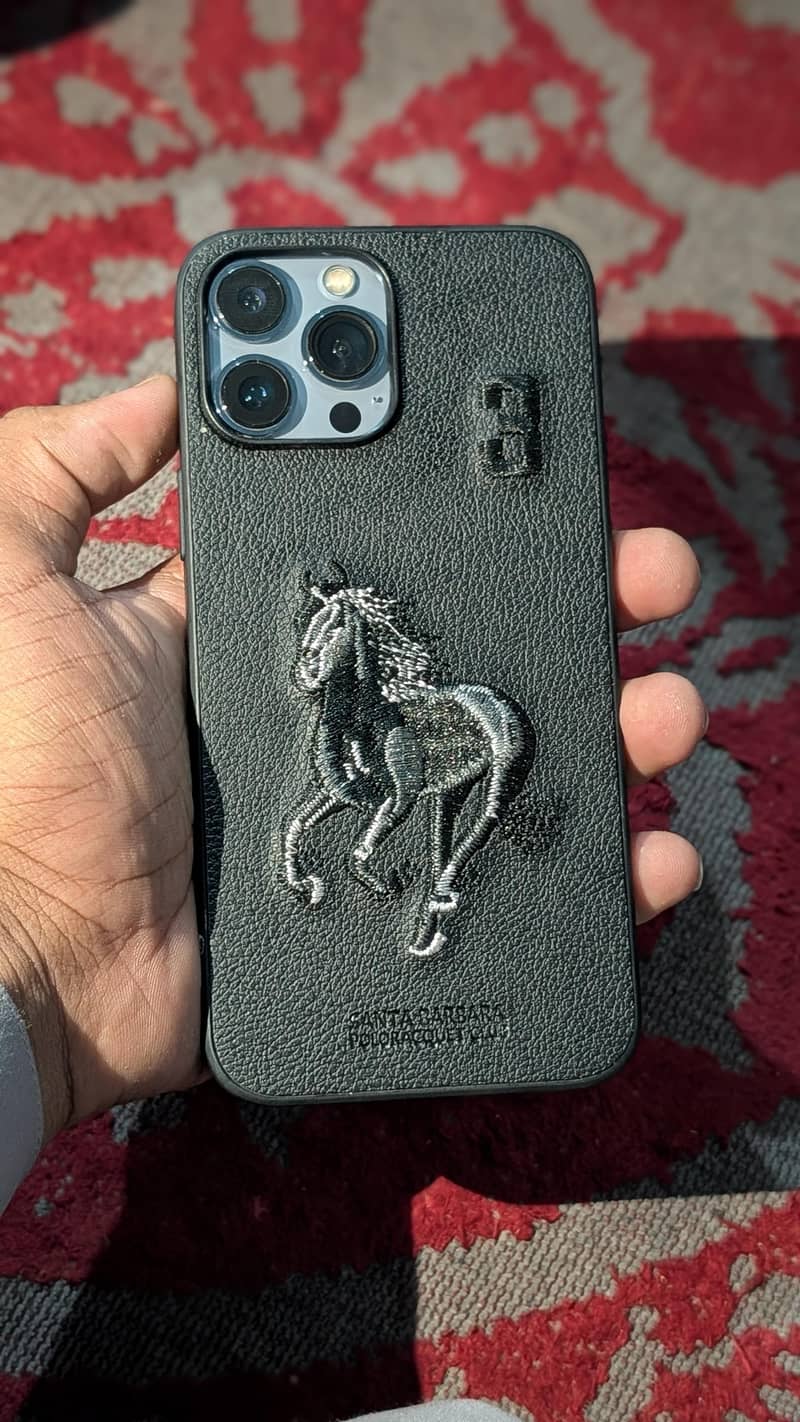 Apple iPhone 13 Pro Max 1