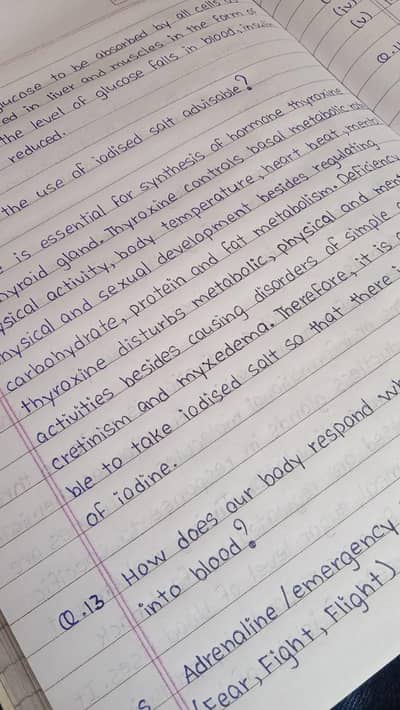 Assinman writer