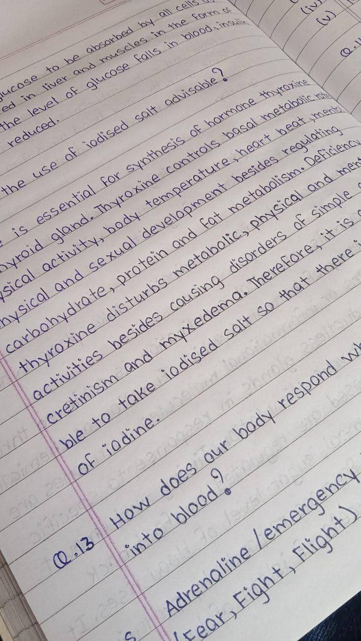Assinman writer 0