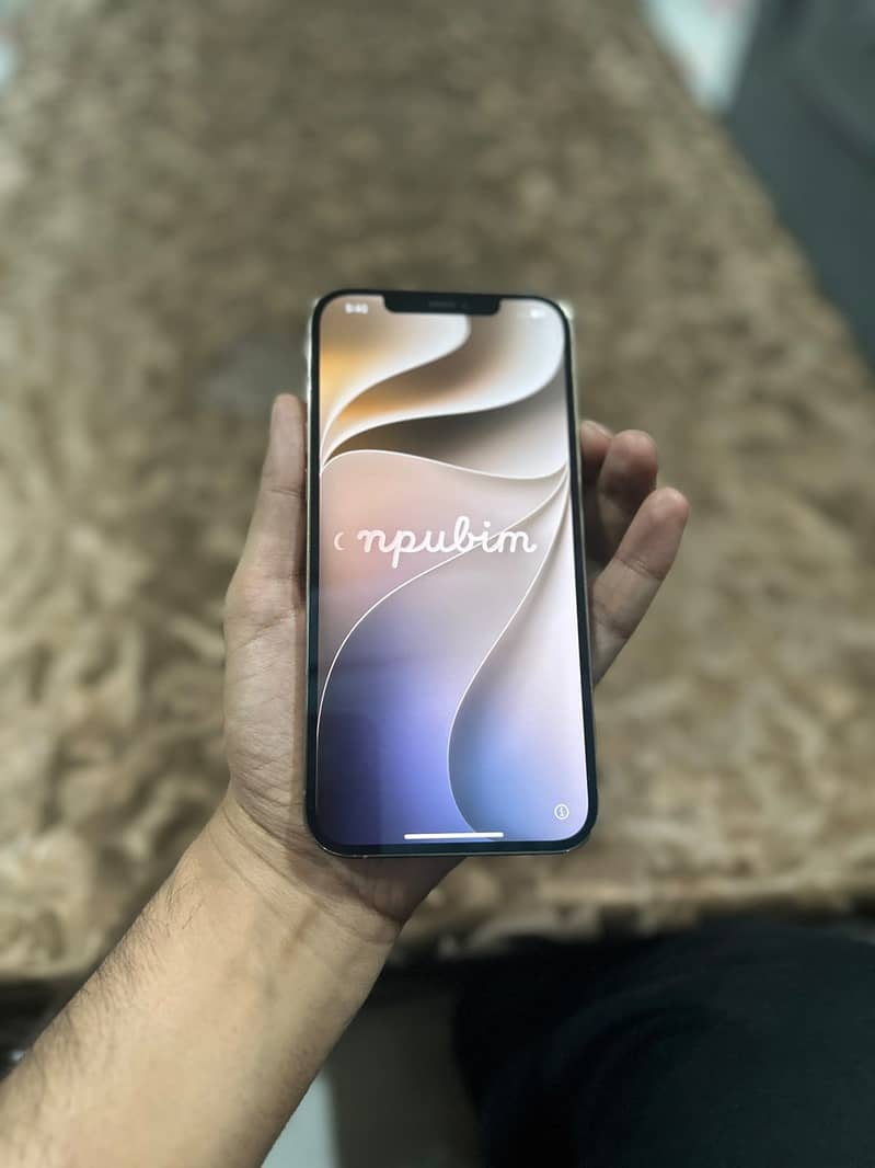 Apple iPhone 12 Pro Max 0