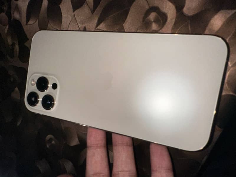 Apple iPhone 12 Pro Max 1