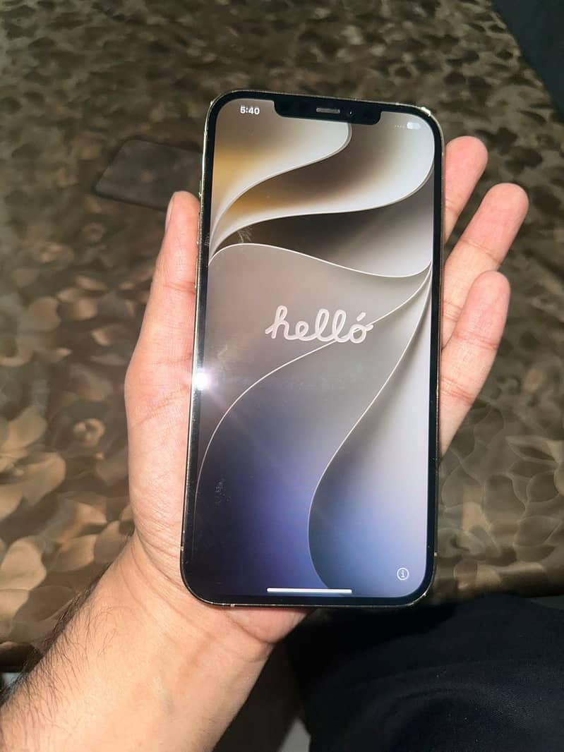 Apple iPhone 12 Pro Max 5