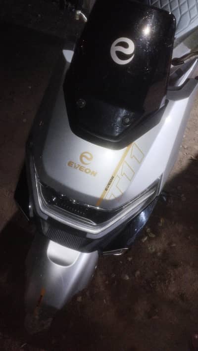 electric scoty