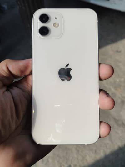 Apple iPhone 12
