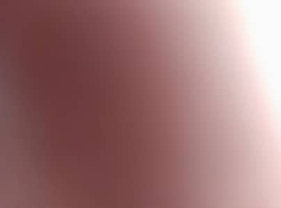 2 breed Ka pair ha 2 chick Ka sath price message par Puch Lia ga