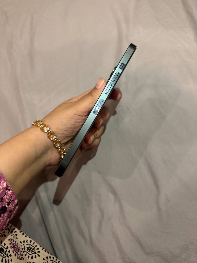Apple iPhone 13 Pro Max 1