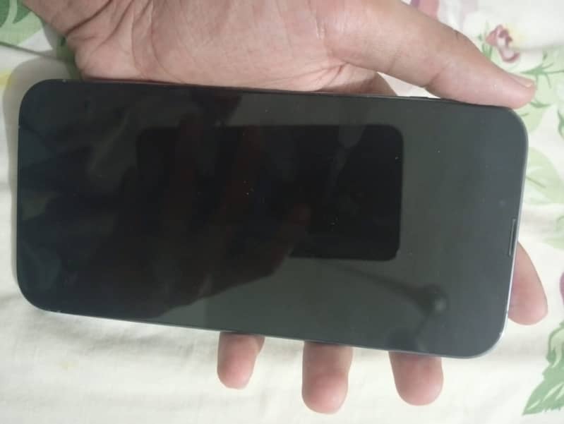Apple iPhone 13 Pro Max 0