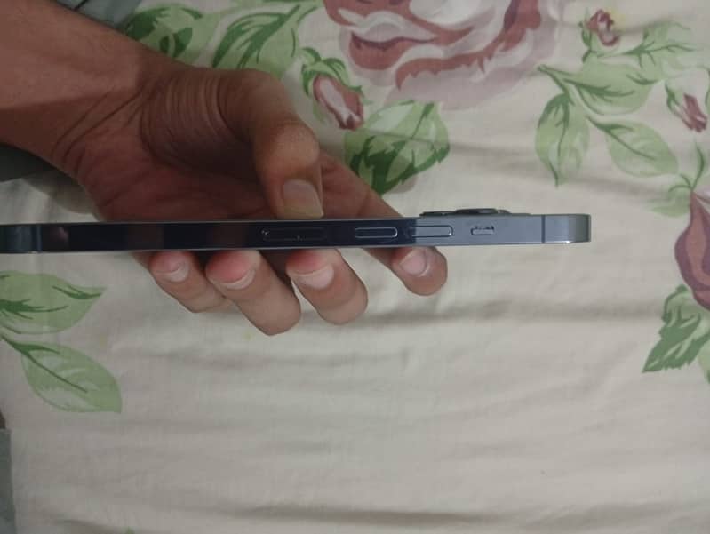 Apple iPhone 13 Pro Max 1