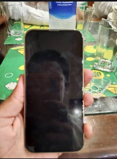 Apple iPhone 13 Pro