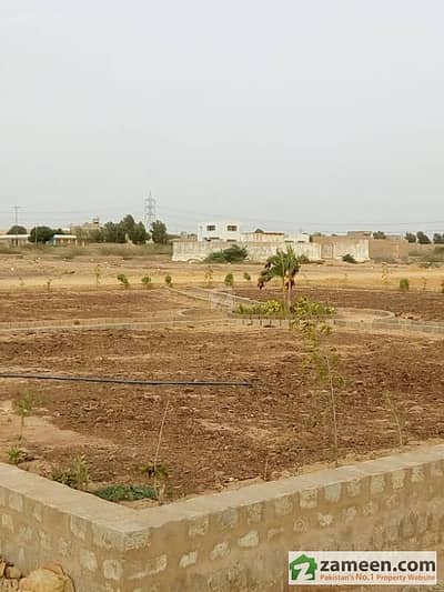 Plot For Sale Surjani Town Sector 11C