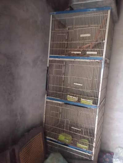 bird cage
