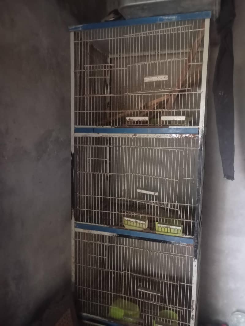 bird cage 2