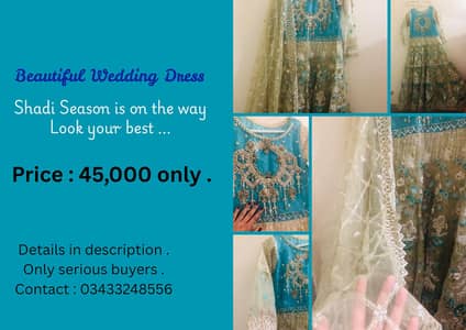Formal Dress / Wedding Dress / Walima Maxi / Traditional Wear