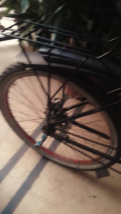 So beautiful cycle