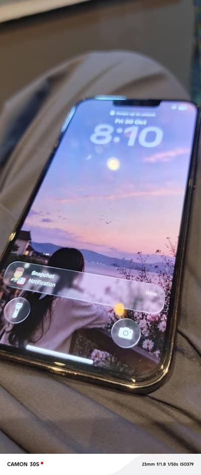 Apple iPhone 13 Pro