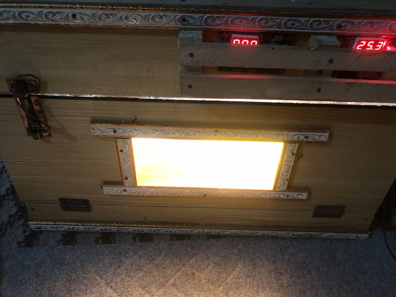 Egg Incubator 5