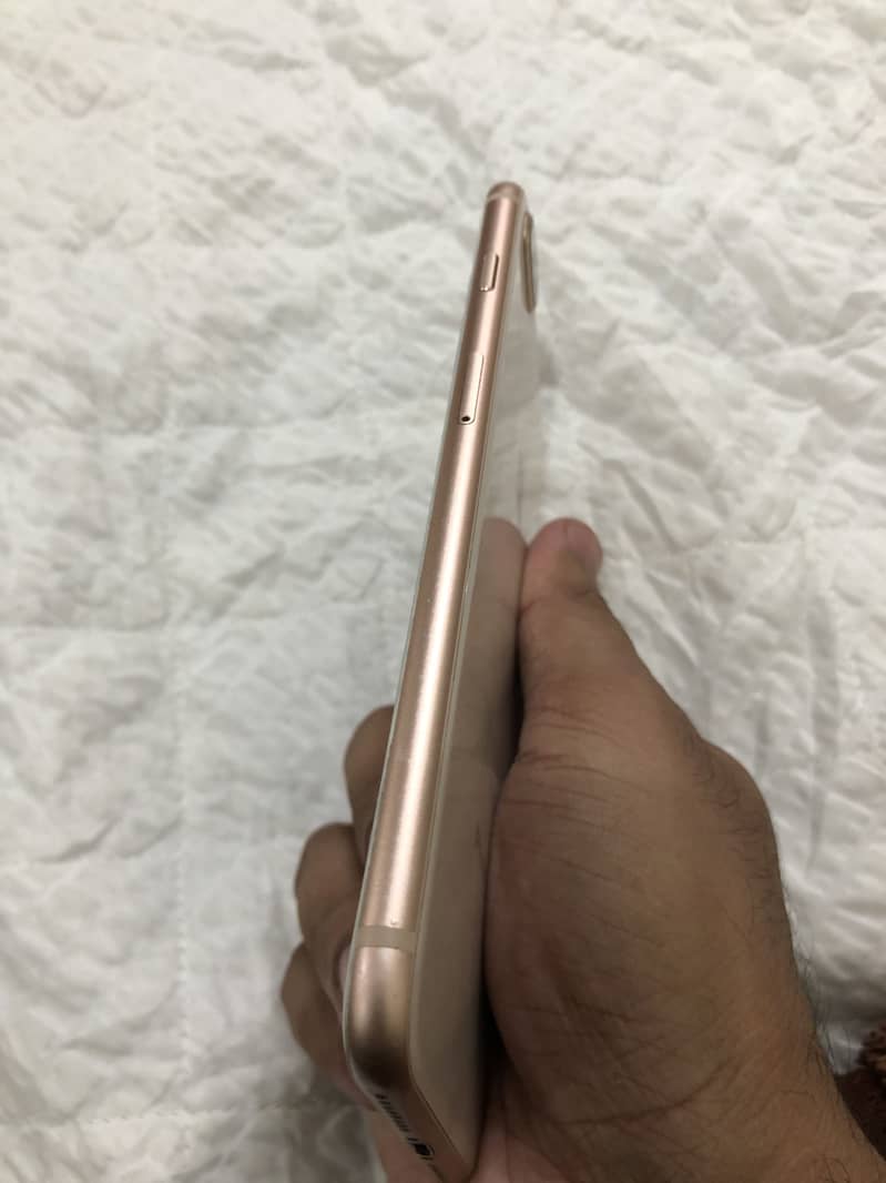 Apple iPhone 8 Plus 1