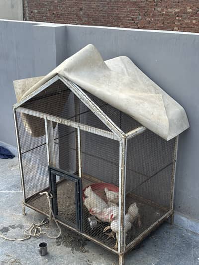 Iron  havey weight angle cage