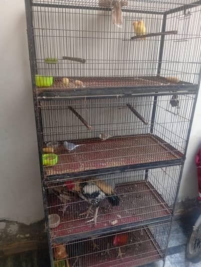 birds cage for sale