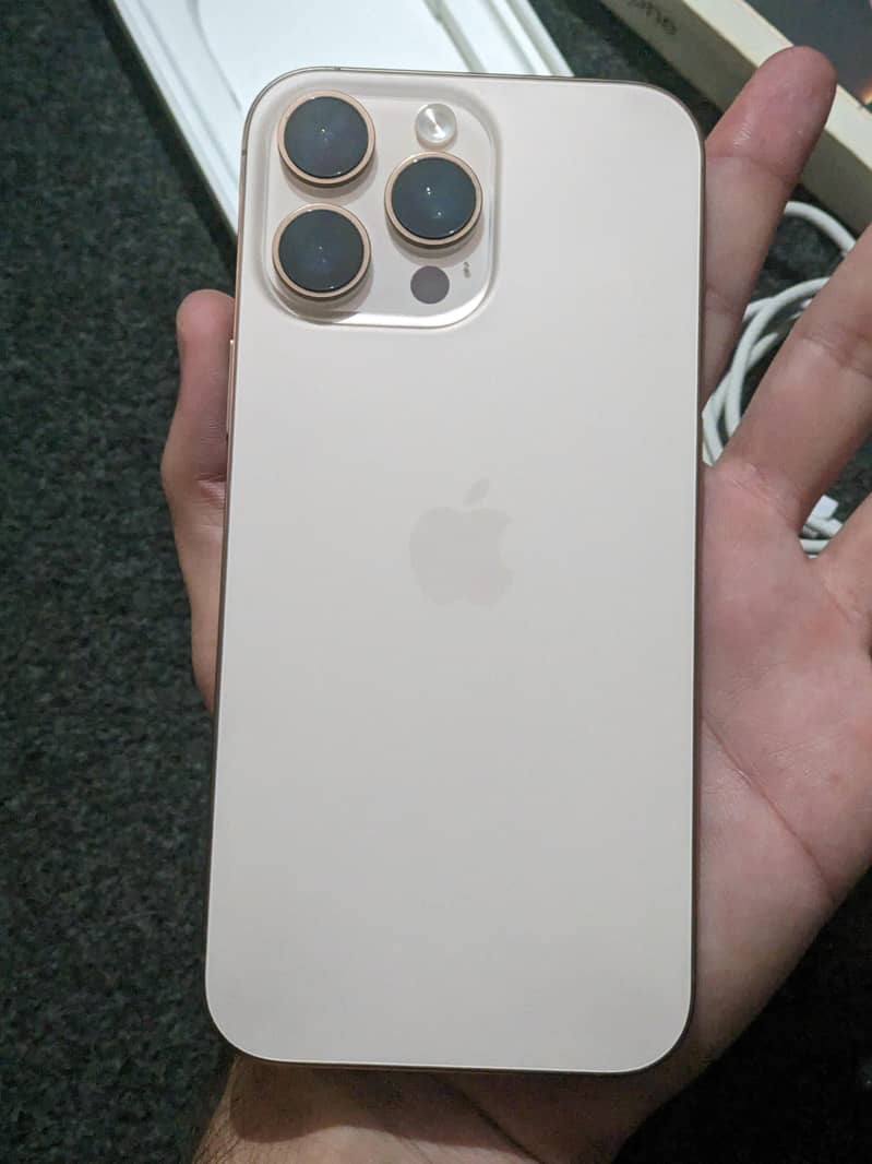 Apple iPhone 16 Pro Max 1