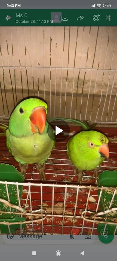proper tame talking +tame  03701124986 female bhi h alg