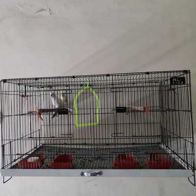 Cages and parrot sitting stand for Sale