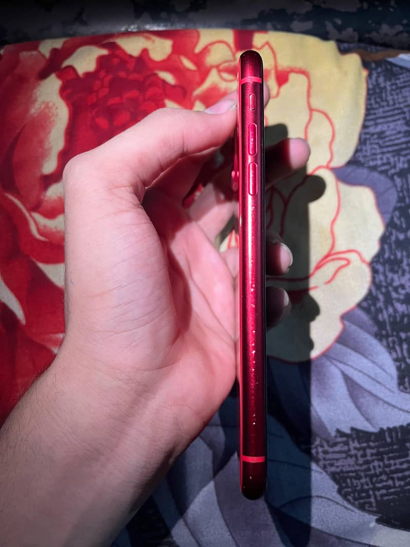 Iphone 11 6