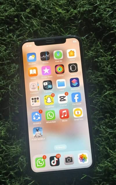 Apple iPhone X
