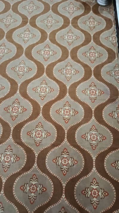 I have carpet for sale in good condition