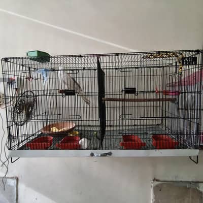 Cages and parrot sitting stand for Sale
