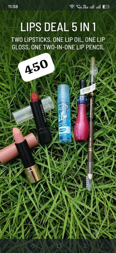4 in 1 lip deal