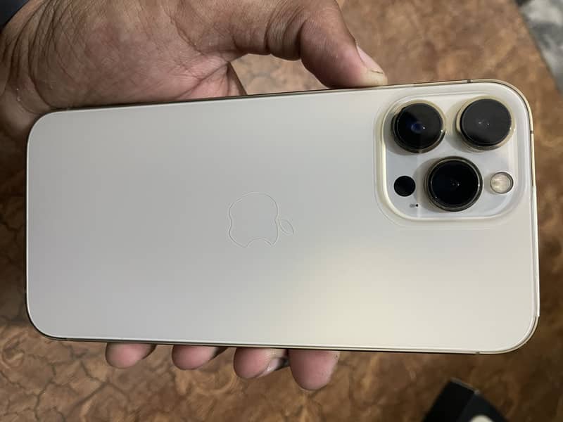 Apple iPhone 13 Pro Max 1