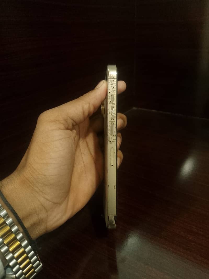 Apple iPhone 13 Pro 3