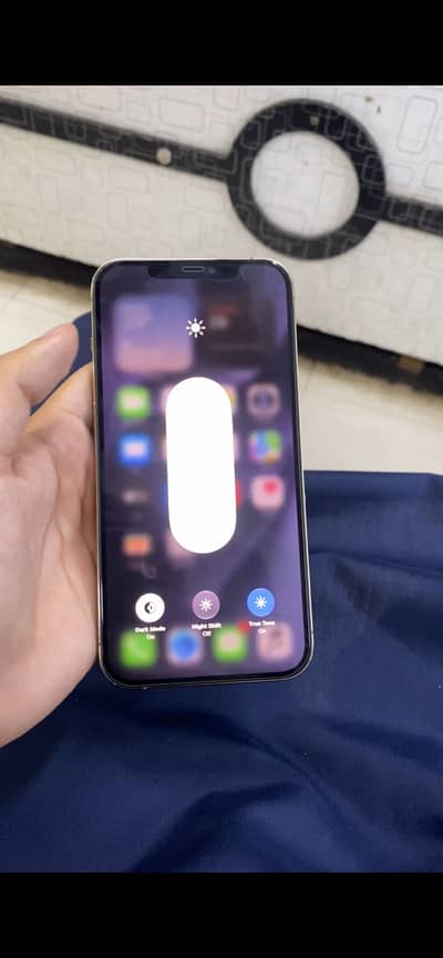 Iphone 12 pro max pta