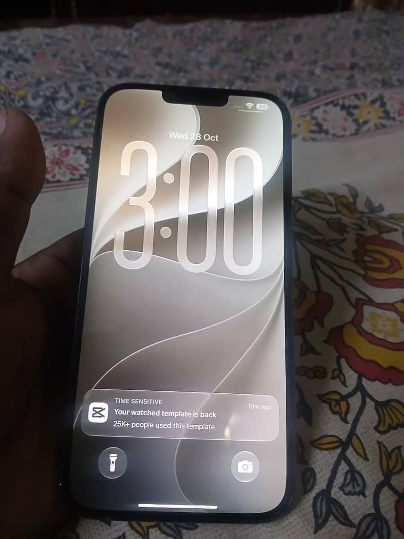 Apple iPhone 13 Pro Max 0