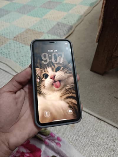Apple iPhone 11