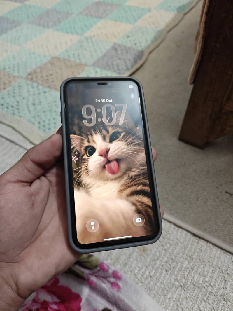 Apple iPhone 11 0